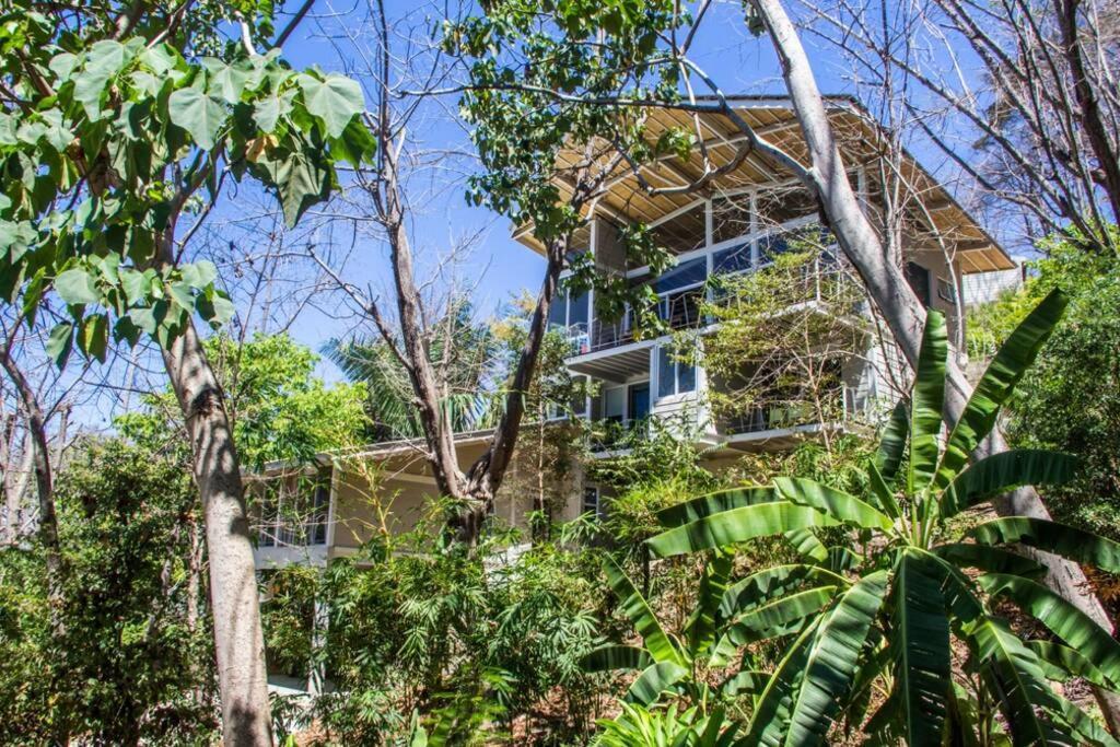 Casa Pochote Playa Santa Teresa  Exterior photo